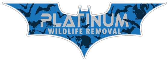 Ottawa County Animal Removal